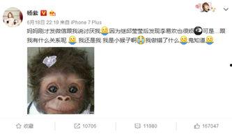 杨紫最新爆料贴微博,揭秘娱乐圈幕后故事